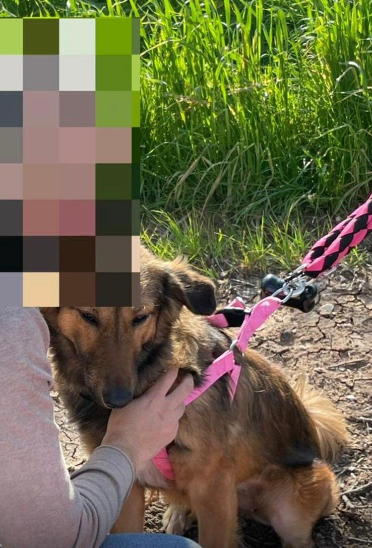 מ.ד עם הכלבה הטיפולית שלי